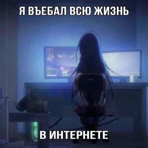 5c5c2c7f42f9.jpg