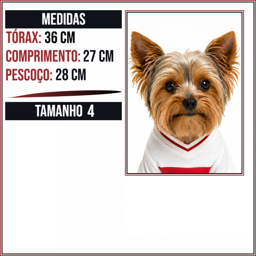 MEDIDAS TAM 4.png