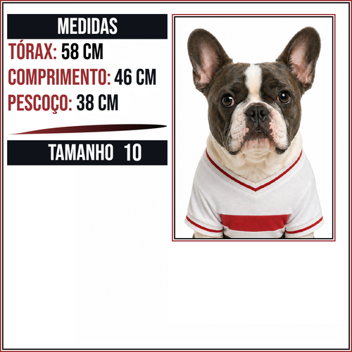MEDIDAS TAM 10.png