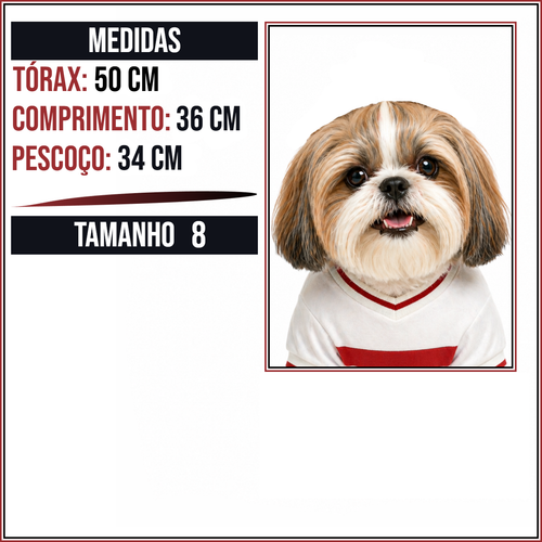MEDIDAS TAM 8.png