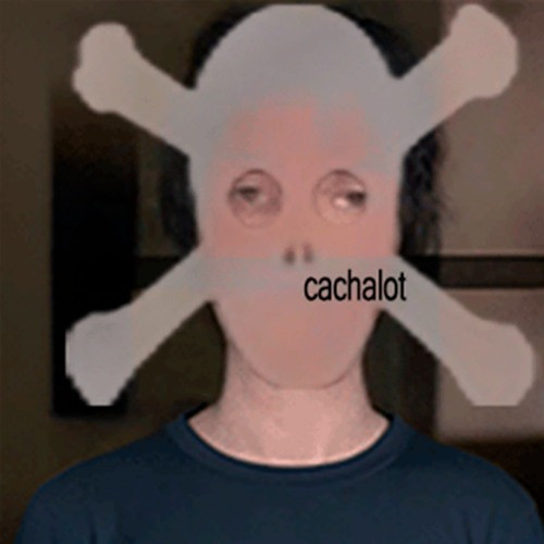 7b70685f8d35.jpg