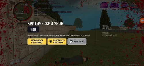 9371.jpg