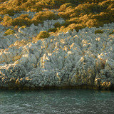 DSC00472