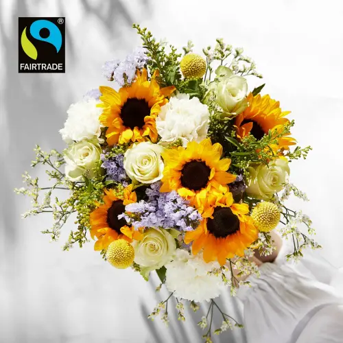 ef9aeeb5 8455 4c9f 9e27 ca712c1fb657.webp