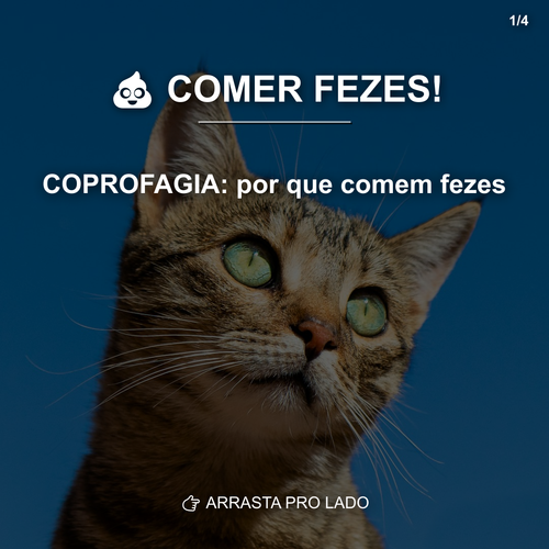 carousel 1777478407220 slide1.png