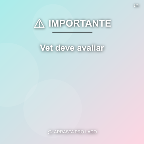 carousel 1777478407719 slide3.png