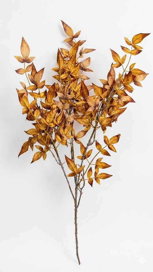 72dee364 a477 4947 a002 d89088b6c656.jpg