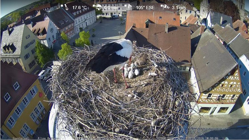 MWSnap882.jpg