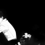 804f1b717ecb.gif