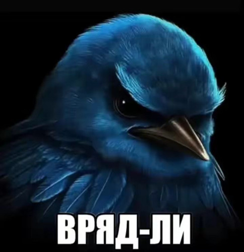 1000011647.jpg