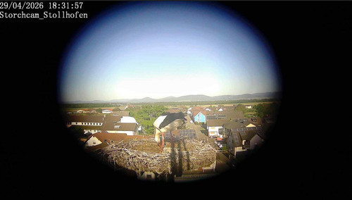MWSnap913.jpg