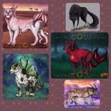 cd image(1).png