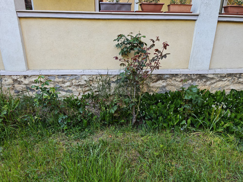 180.jpg