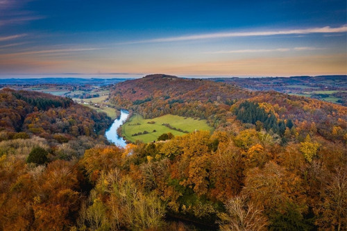 Forest of Dean 37.jpg