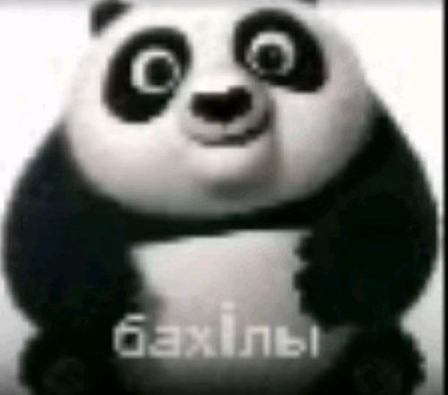 6226bbffbeab.png