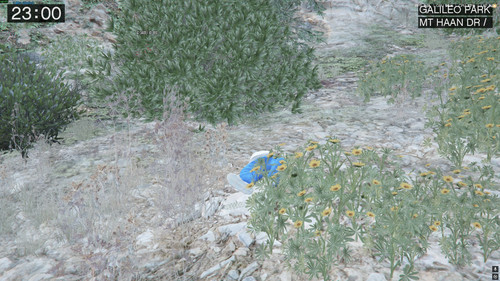 FiveM GTAProcess oTgmr8cu21.jpg