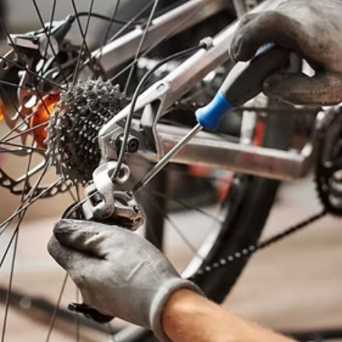 bike shops auckland   ||.jpg