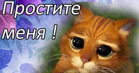 Собеседований не было :(.jpg