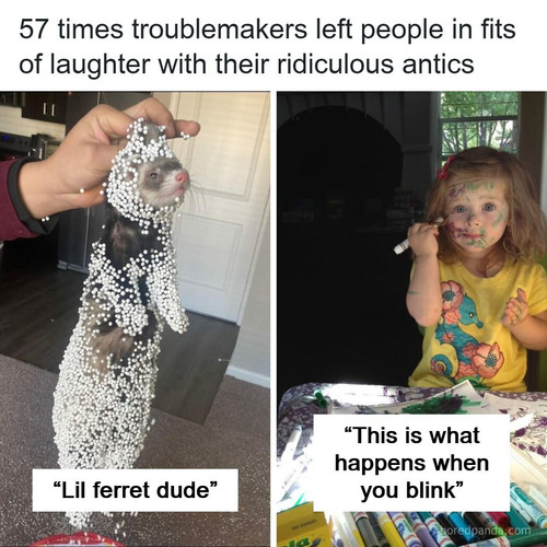 fails funny.jpg