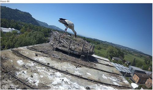 MWSnap169.jpg