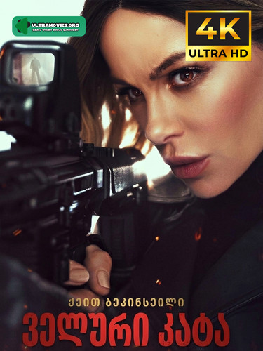 Wildcat cover.jpg