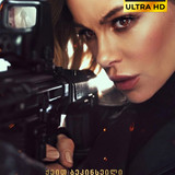 Wildcat cover