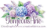 35 GorgeousArie1 vi.jpg