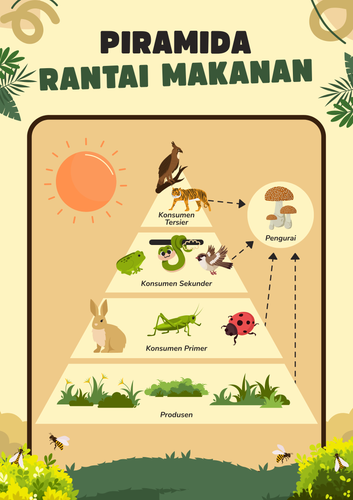 Poster Belajar Pendidikan IPA Materi Rantai Makanan Kuning dan Hijau Ilustrasi.png