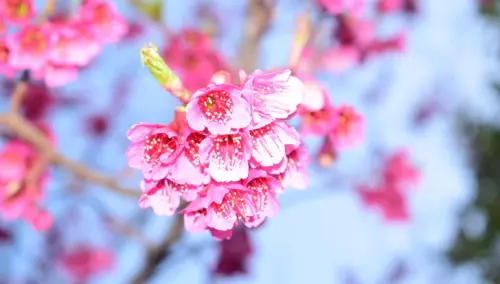 t016d0fa3c28f6468b7.webp