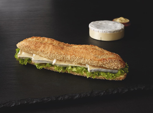 cheese sandwich.jpg