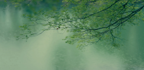 屏幕截图 2026 04 30 221842.png