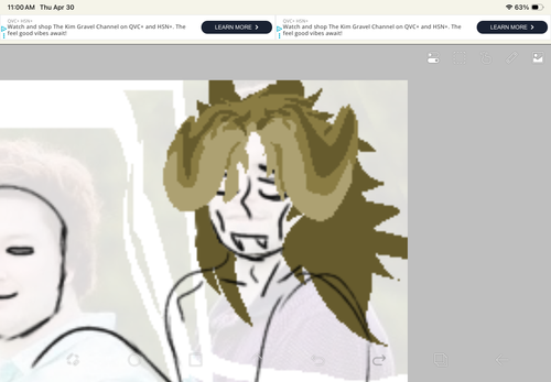 IMG 0078.png