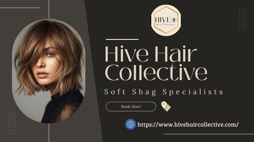 Soft Shag Haircut Salon Wheaton IL.png