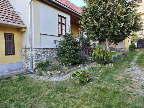 174.jpg