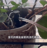 e3446d882354.gif
