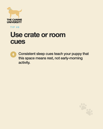 0144104cf44d.png