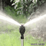 5798e703af79.gif