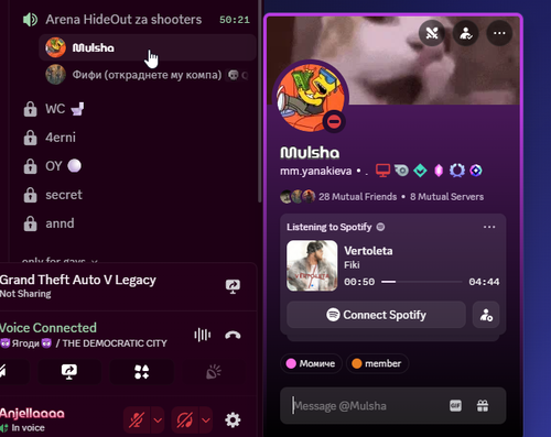 NVIDIA Overlay OytHNuBCa0.png
