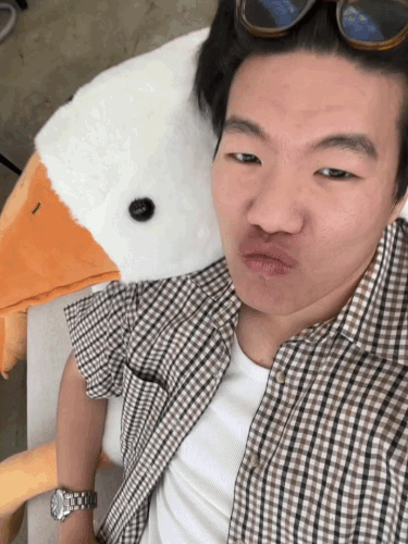 ezgif.com video to gif converter.gif