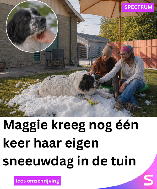 Spectrum Netwerk 143 (28).png