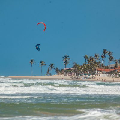 sec kites.jpg