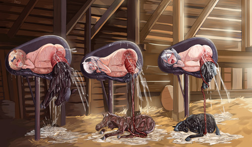 2025110900 [Pixiv] 131828767 p5 Comm／ Elina and cowgirl friends By DEO (115871860).jpg