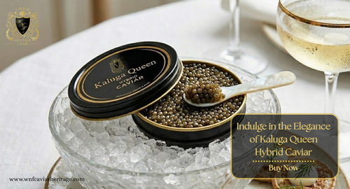 Kaluga Queen Hybrid Caviar Premium Luxury Gourmet Experience.png