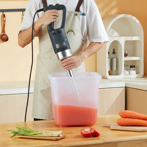 us%2FZXSCJBQYCBSDJJDGJV3%2Foriginal img v3%2Fcommercial immersion blender fr m100 1.12.jpg