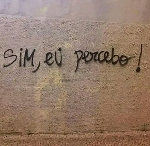 1729669083768.jpg
