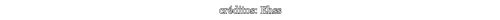 Ehss Info.png
