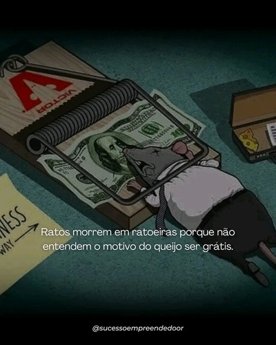 1730740619001.jpg