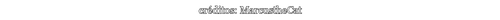MarcustheCat Info.png