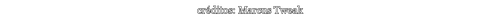Marcus Tweak Info.png