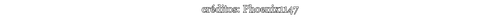 Phoenix1147 Info.png